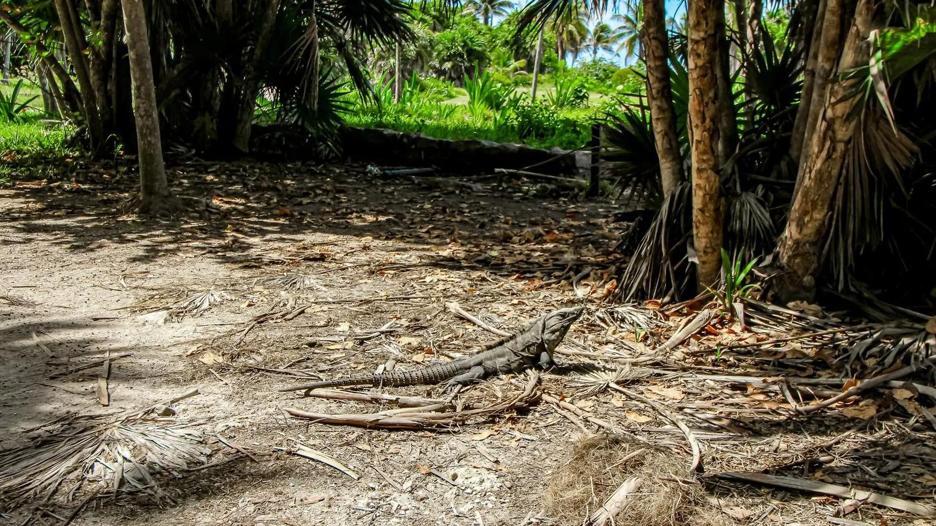 Apartament Fronds And Sun At Toh 11 Tulum